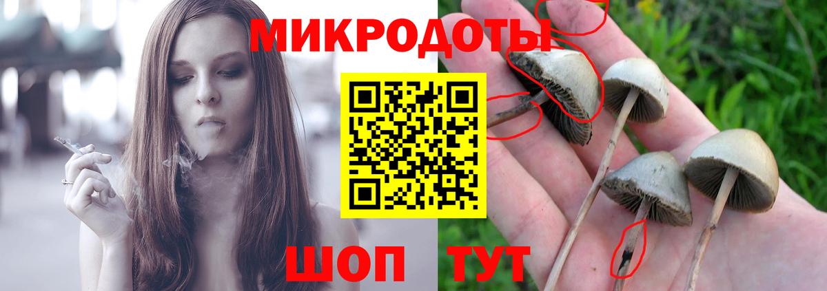 Галлюциногенные грибы прущие грибы  Псилоцибиновые грибы Magic Shrooms  Вход с VPN  Дагестанские Огни 